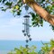 1 Pack Wind Chimes Sea Turtle Wind Chime for Outside with 4 Aluminum Tubes, Windchimes Outdoors Clearance Home Garden Patio Decor Memorial Wind Chimes for Mom Grandma Unique Birthday Festival Gifts